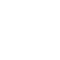 walking icon
